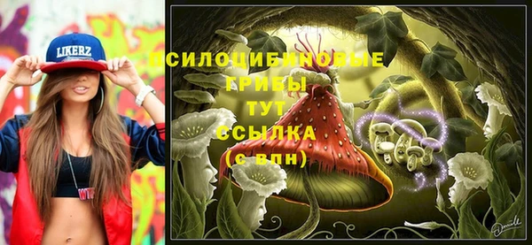 jwh Бугульма