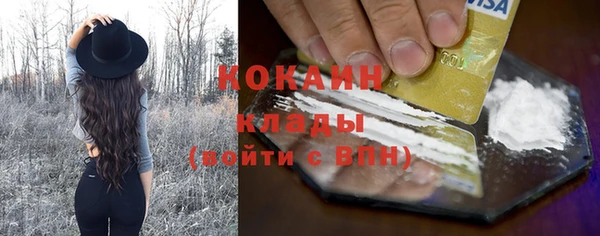 альфа пвп Бородино